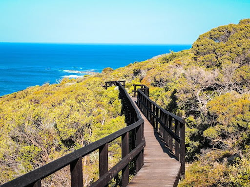 cape-naturaliste