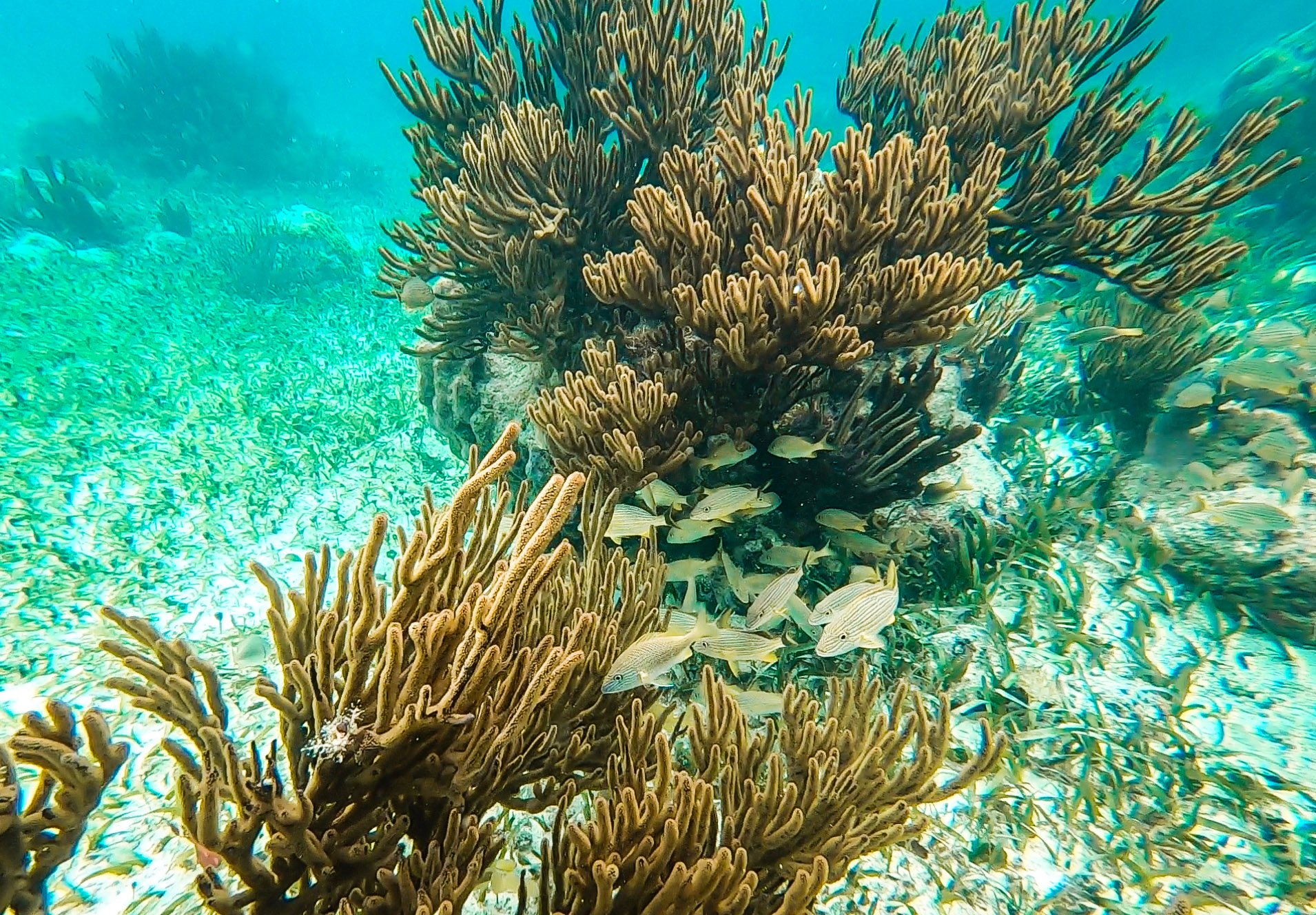 Capture d’écran 2022-04-03 à 17 (1)