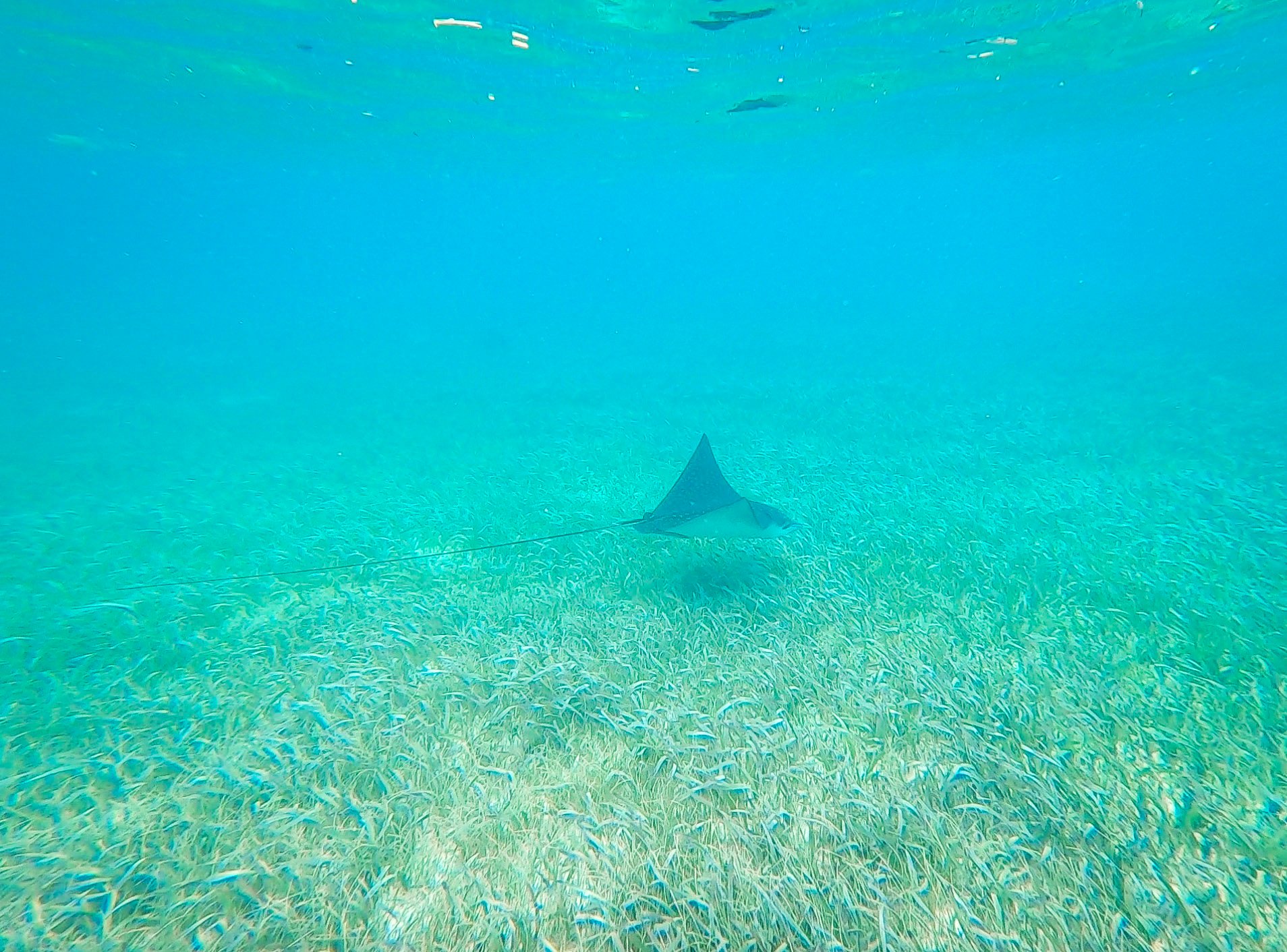Capture d’écran 2022-04-03 à 17